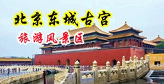 日日操大骚逼中国北京-东城古宫旅游风景区